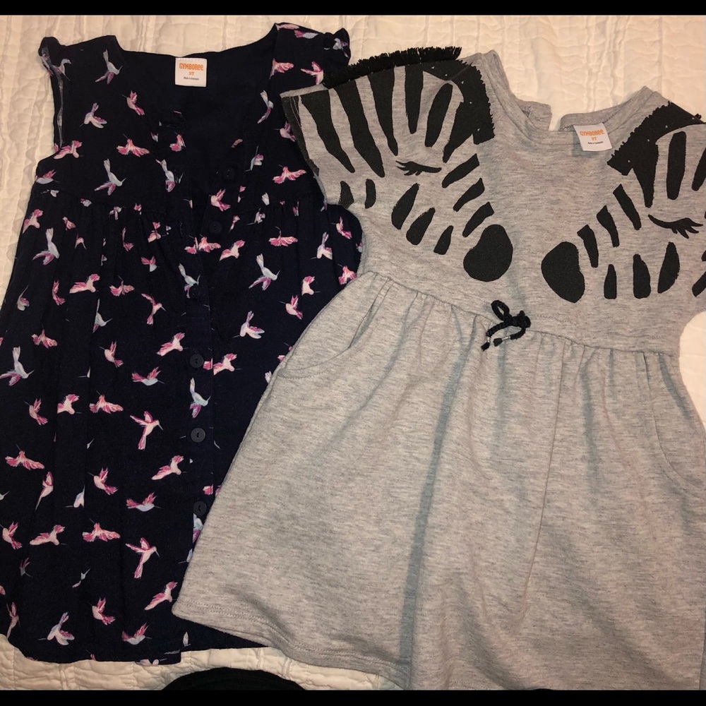Bundle of 2 toddler girl dresses 3T